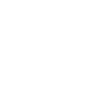 logoSquare-Twinmotion